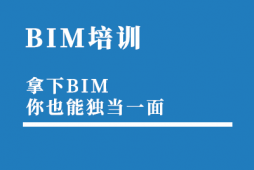 ʯfBIM(bio)(zhn)Ӗ(xn)