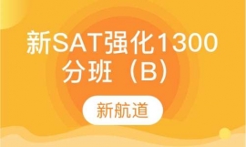 SAT(qing)1300ְࣨB