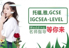 и,˼,GCSE/IGCSE,A-LEVELӖ(xn)