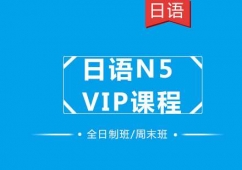 ɶZN5 VIPӖn