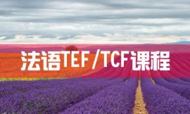 ϾZTEF/TCFn--Zn