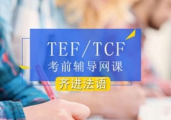 TEF/TCFǰo(do)W(wng)n