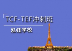 ʯfZ(y)TCF-TEF_Ӗ(xn)