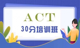 BTACT30Ӗ