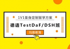 ꖵZTestDaF/DSHӖ