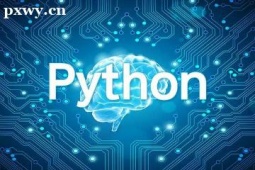 LɳPython̎Ӗ(xn)