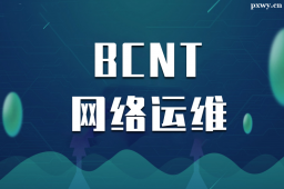 BTBCNTW(wng)j(lu)\(yn)SI(y)nӖ(xn)